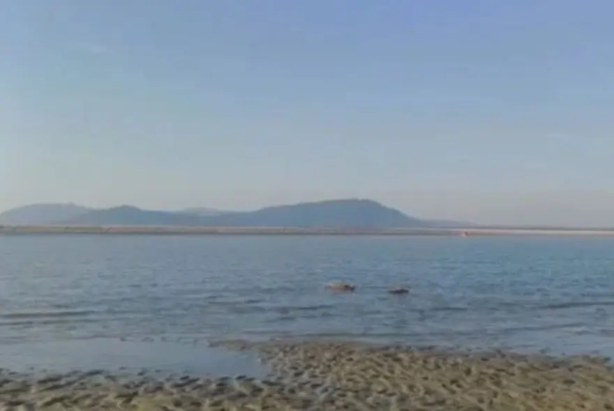 Guwahati: Third body recovered from Brahmaputra, two still missing