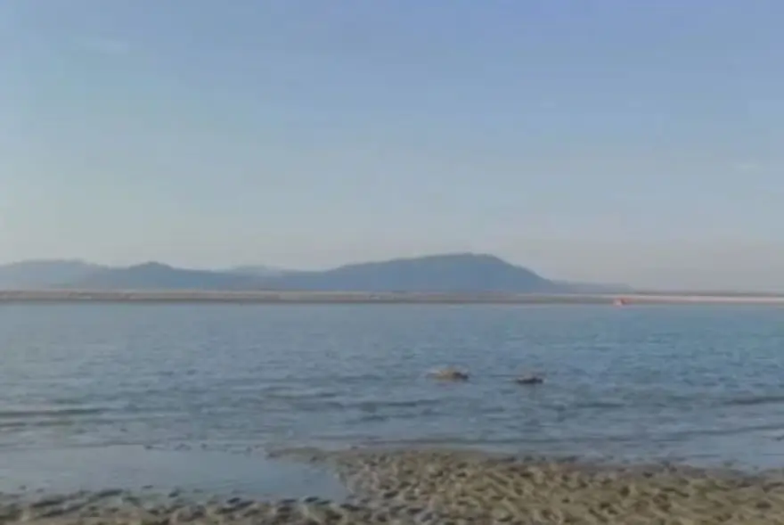 Guwahati: Search teams recover body of fourth missing person from Brahmaputra, one still unaccounted for