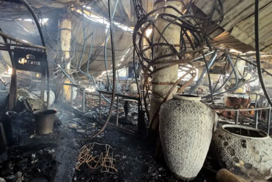 Goa Nightclub Fire: Luthra Brothers Held in Thailand, Deportation in Progress
