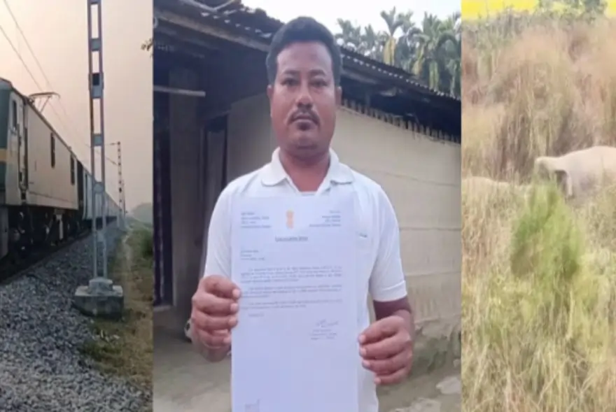 Meet Kamal Bodo, the Man Who Saved a Herd of Elephants and a Possible Rail Disaster